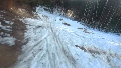 Fpv drone flight in the winter forest Stock Footage 173378312