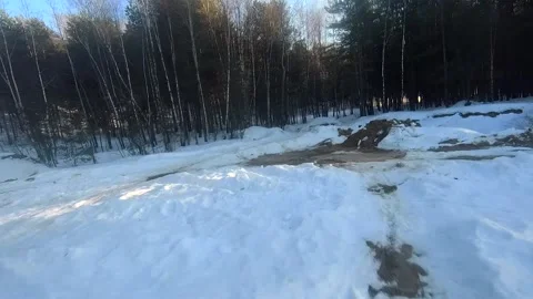 Fpv drone flight in the winter forest Stock Footage 173378313
