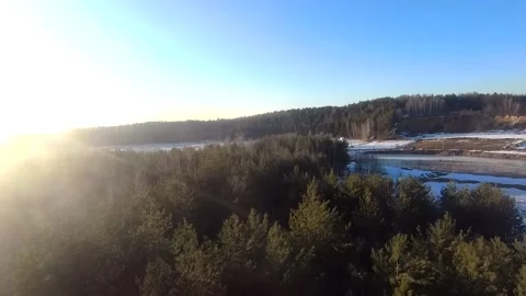 Fpv drone flight in the winter forest Stock Footage 173378321