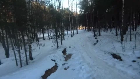 Fpv drone flight in the winter forest Stock Footage 173378505