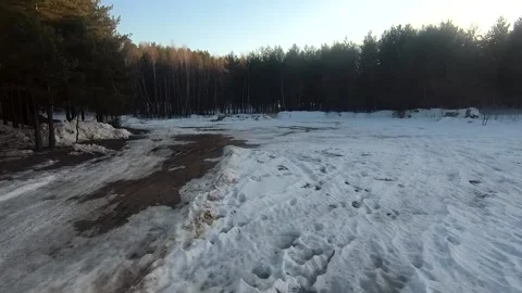 Fpv drone flight in the winter forest Stockbeeldmateriaal 173378598