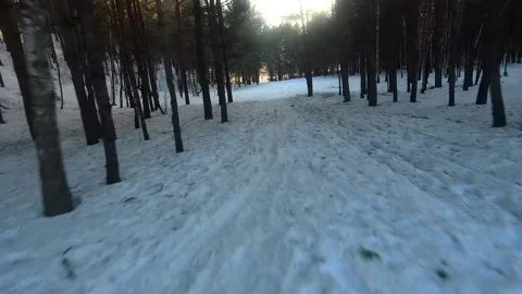 Fpv drone flight in the winter forest Stock Footage 173378792