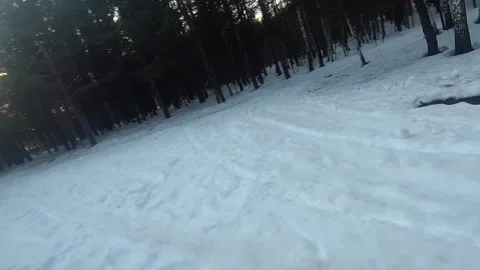 Fpv drone flight in the winter forest Stock Footage 173378794