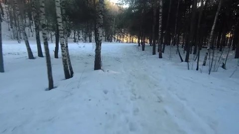 Fpv drone flight in the winter forest Stock Footage 173378797