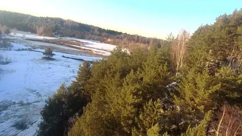 Fpv drone flight in the winter forest Stock Footage 173378866