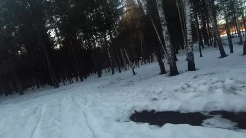 Fpv drone flight in the winter forest Stock Footage 173378912