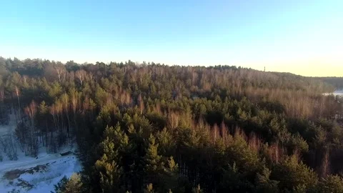 Fpv drone flight in the winter forest Stock Footage 173379061