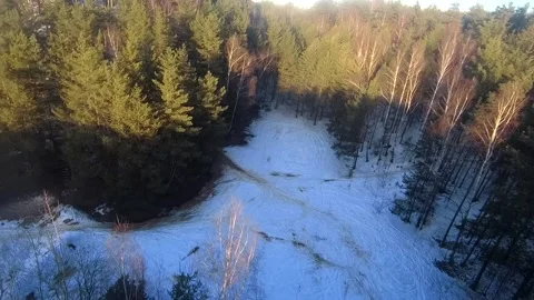 Fpv drone flight in the winter forest Stock Footage 173379077