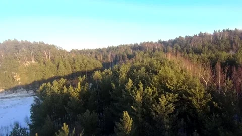 Fpv drone flight in the winter forest Stock Footage 173379193