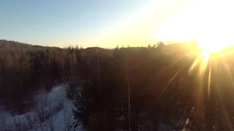Fpv drone flight in the winter forest Stock Footage 173379232