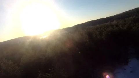 Fpv drone flight in the winter forest Stock Footage 173379727