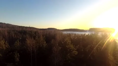 Fpv drone flight in the winter forest Stock Footage 173379790