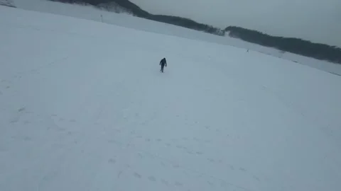 Fpv drone flight in the winter forest Stock Footage 231125645