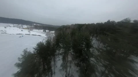 Fpv drone flight in the winter forest Stock Footage 231125731
