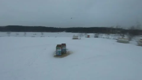 Fpv drone flight in the winter forest Stock Footage 231127016