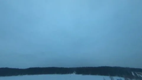 Fpv drone flight in the winter forest Stock Footage 231129902