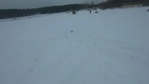 Fpv drone flight in the winter forest Stock Footage 231130032