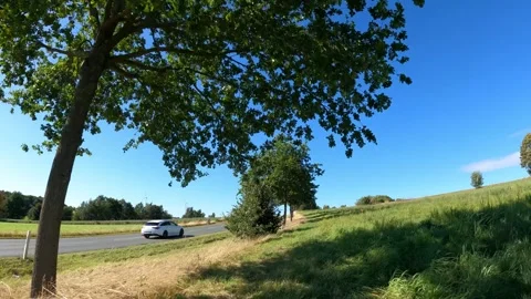 FPV drone fly near trees and road Video stock 327670839