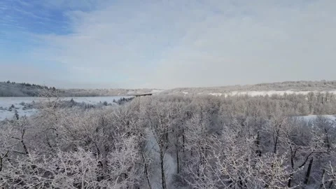 FPV Drone Flying About Snow Covered Trees Stock Footage 330901515