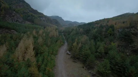 FPV drone flying above a dirt road in the forest on a cloudy day. 4K stock video Stock Footage 293324941