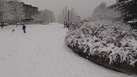 FPV Drone flying after snowfall in Toronto park Stock Footage 172101954