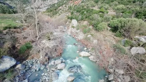 FPV Drone Flying Along a Serene River in Nature Stock Footage 301938183