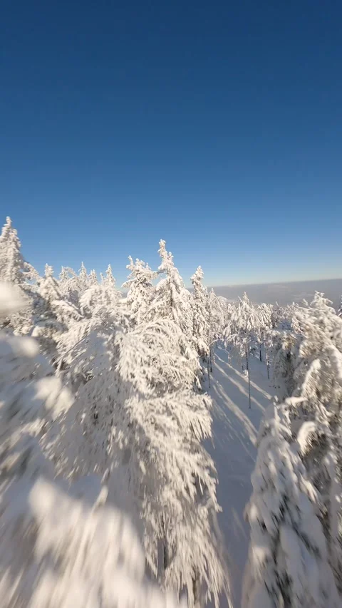 FPV drone flying close to the snow-covered trees in a winter forest. Stock Footage 252881615