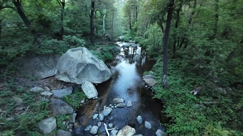 FPV Drone Flying Down Toward Creek in Forest Stock Footage 316173297