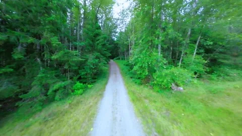 FPV Drone Flying from Dry Field over Road into Pine Forest (Color Graded) Stock Footage 246300585