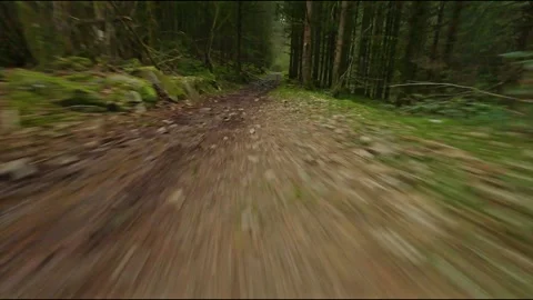 Fpv drone flying fast and low in forest path after rain Vosges Stock Footage 272986357
