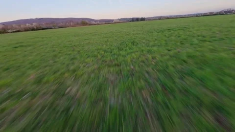 Fpv drone flying fast and low over field and meadow in Vosges region at sunset Stock Footage 311318333