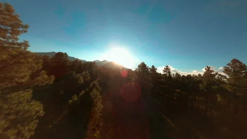 FPV drone flying fast over pine treetops toward sunset over mountain peaks Stock Footage 165041042