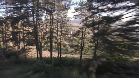 FPV drone flying fast through forest, almost crashing, recovered crash Stock Footage 169280511