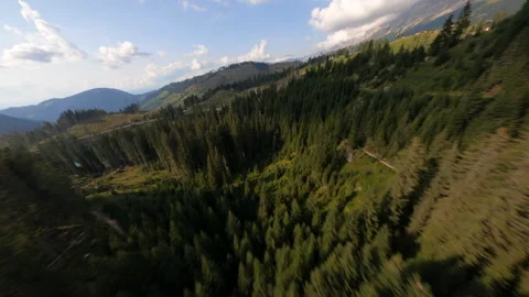 FPV drone flying in Lago di Carezza Stock Footage