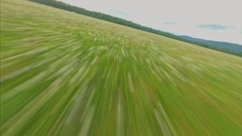 Fpv drone flying low and fast over wild flowers field countryside sunset Stock Footage 249398019