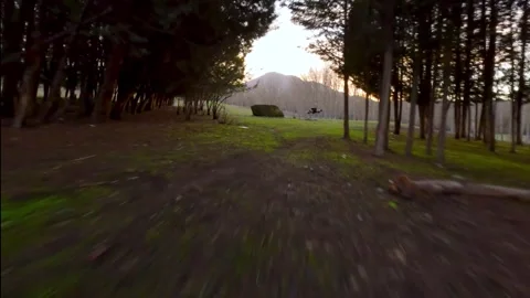 FPV drone flying low and fast through trees on an abandoned golf course Video stock 259165919