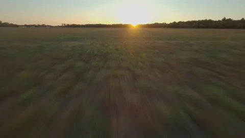 Fpv drone flying low over field in countryside at sunset Vosges Stock Footage 205280802