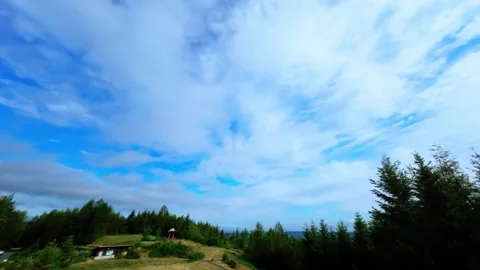 FPV Drone Flying Low Over Field Before Pulling Up (Color Graded) Stock Footage 246302111