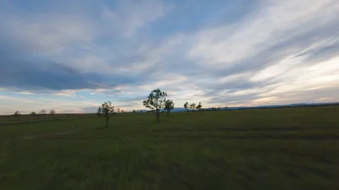 FPV Drone Flying Low Over Green Field Weaving Through Trees Stock Footage 316104925