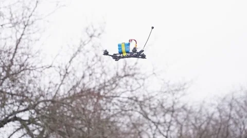 FPV drone flying near bare trees with agile movement Stock Footage 334696045