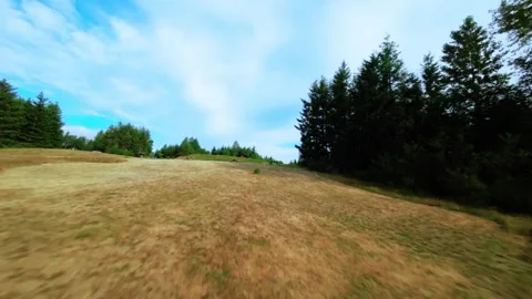 FPV Drone Flying Over Dry Grass To A Picnic Area (Color Graded) Stock Footage 246301510