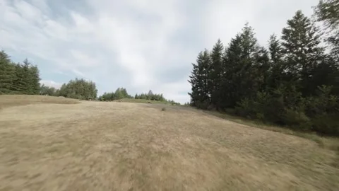 FPV Drone Flying Over Dry Grass To A Picnic Area (Desaturated) Stock Footage 246301571