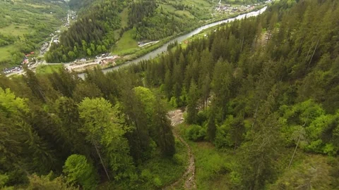 FPV drone flying over forest Stock Footage 275089024