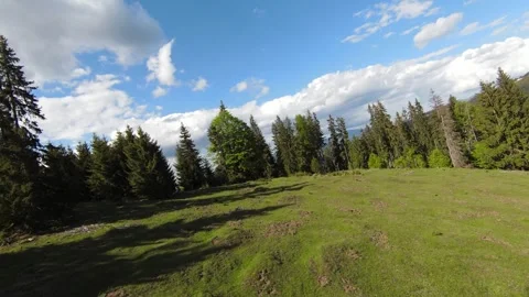 FPV drone flying over forest 스톡 동영상 275758081