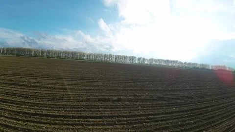 FPV drone flying over freshly plowed agricultural field with green wheat Stock-Footage 240698390