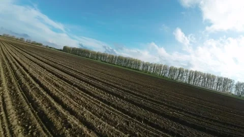 FPV drone flying over freshly plowed agricultural field with green wheat Stock Footage 240698426
