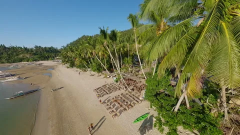 FPV Drone Flying Over Palm Trees On Beach At High Speed Stock Footage 275524982