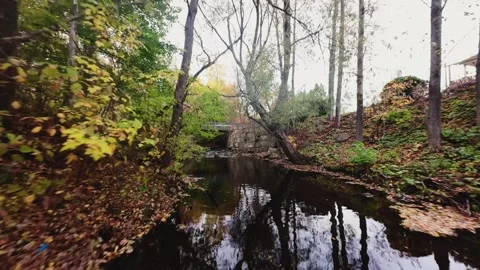 FPV Drone Flying Over Quiet Woodland Stream | Soft Autumn Light 4K Stock Footage 319419189