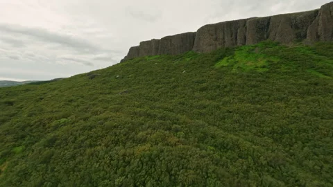 FPV Drone Flying over River and Basalt Cliffs Iceland Stock Footage 319704220