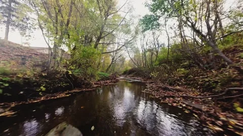FPV Drone Flying Over Small Forest Stream at Sunset | Autumn Nature Cinematic 4K Stock Footage 319419274